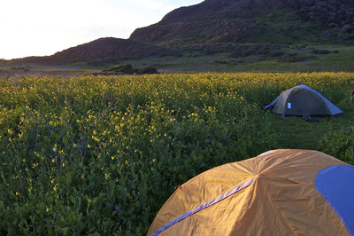 REI Tents