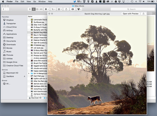 quick-preview-yosemite.jpg