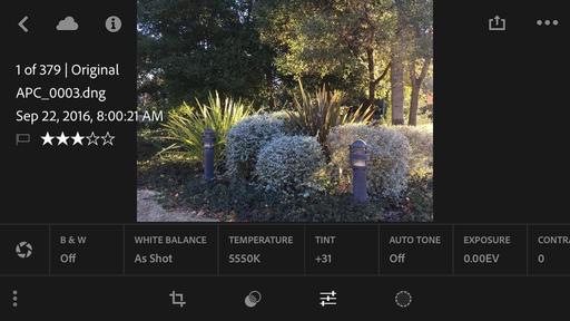 lightroom-iphone.jpg