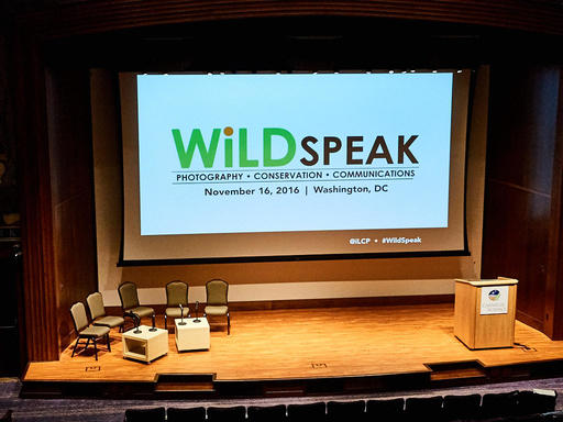 PB165411-Washington-DC-Wildspeak.jpg